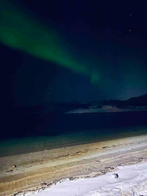 Holiday Home With Sauna In The Arctic Caribbean, Tromsø Exterior foto